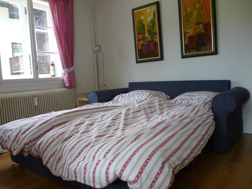 De Jutter Edelweiss Gosau Quarto foto